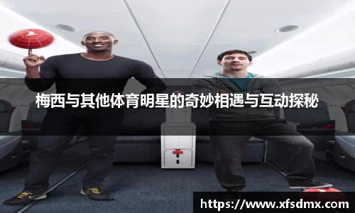 半岛·BOB官方网站