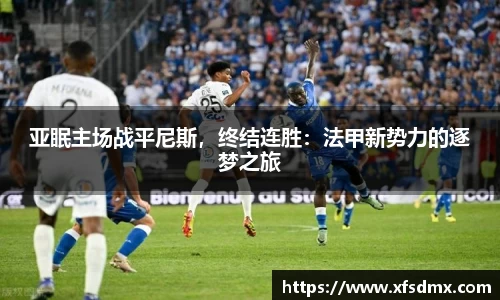 BoB半岛·体育中国官方网站