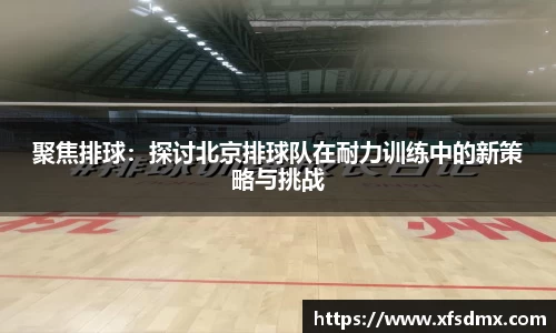BoB半岛·体育中国官方网站