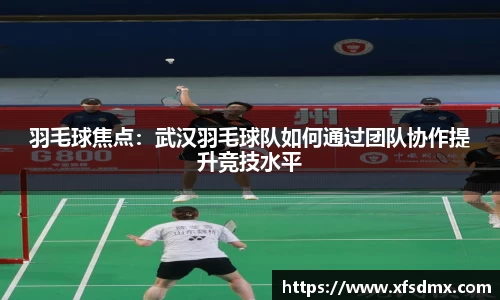 半岛bob·官方网站