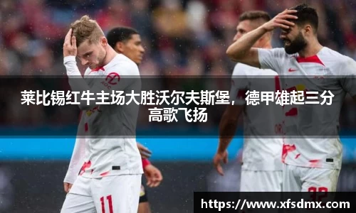 BoB半岛·体育中国官方网站