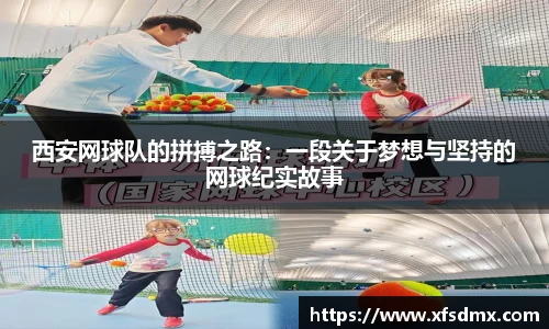 半岛bob·官方网站