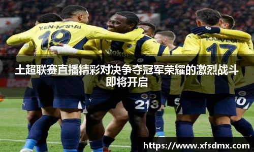 BoB半岛·体育中国官方网站