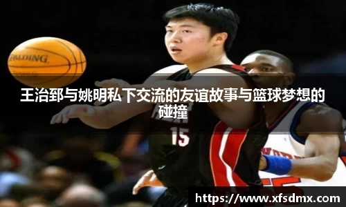 半岛·BOB官方网站