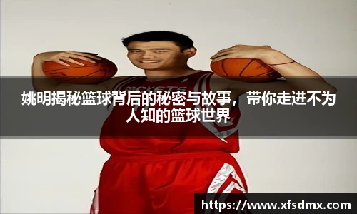 半岛·BOB官方网站