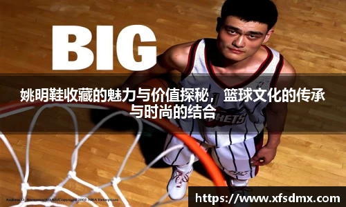 半岛bob·官方