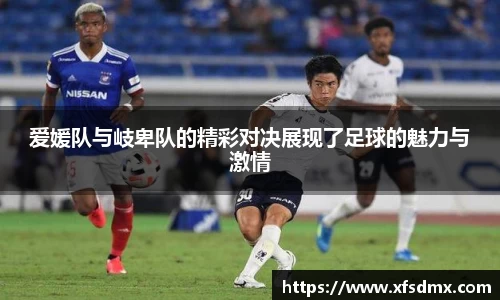 BoB半岛·体育中国官方网站
