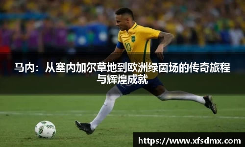 半岛bob·官方网站