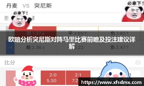 BoB半岛·体育中国官方网站