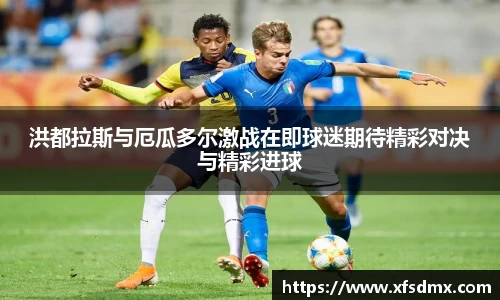 BoB半岛·体育中国官方网站