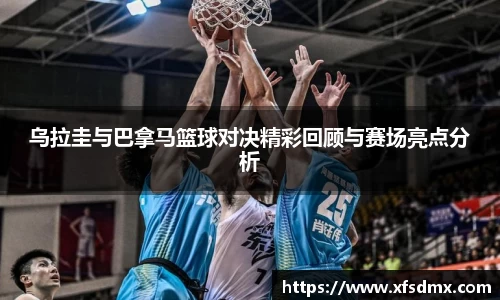 BoB半岛·体育中国官方网站