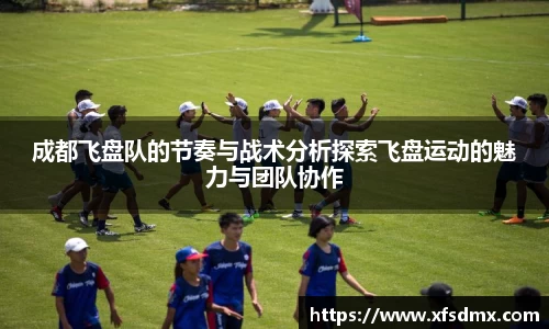 BoB半岛·体育中国官方网站