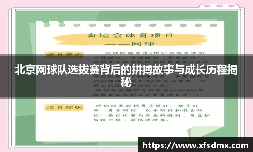 半岛·BOB官方网站